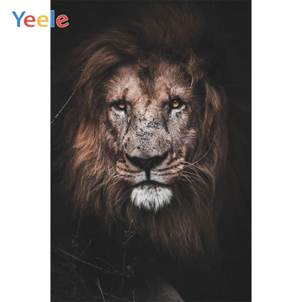 Фон для фотографий Yeele, лев, дикая свобода, уверенность, персонализированный фон для фотостудии
Фон для фотографий Yeele, лев, дикая свобода, уверенность, персонализированный фон для фотостудии
