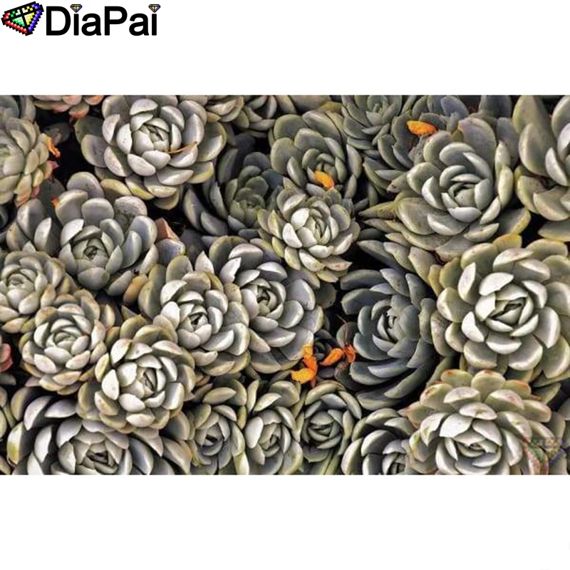 DIAPAI Diamond Painting 5D DIY 100% Full Square/Round Drill "succulent plants" Diamond Embroidery Cross Stitch 3D Decor A24209
DIAPAI Diamond Painting 5D DIY 100% Full Square/Round Drill "succulent plants" Diamond Embroidery Cross Stitch 3D Decor A24209