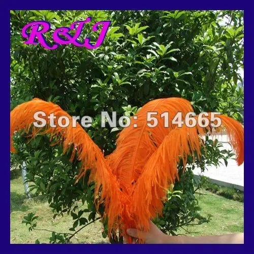 Wholesale 20PCS Quality Natural OSTRICH FEATHERS 24-26inch 60-65cm orange Color EMS Free Shipping
Wholesale 20PCS Quality Natural OSTRICH FEATHERS 24-26inch 60-65cm orange Color EMS Free Shipping