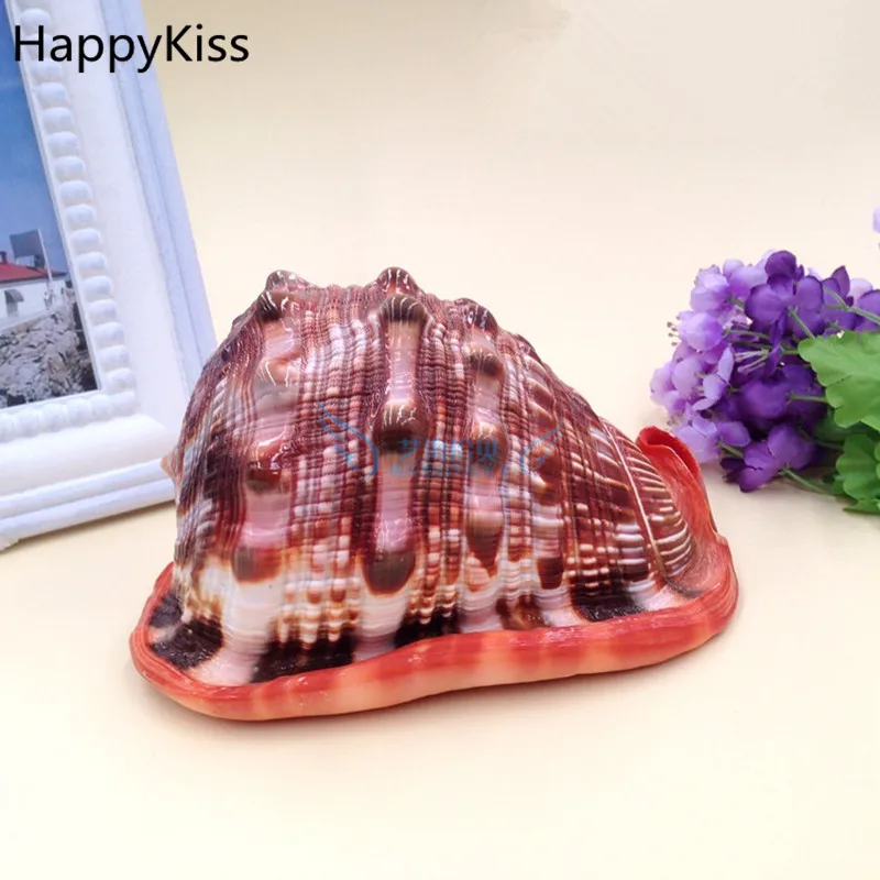 HappyKiss A screw wanbao screw Natural small conch shells seashells furnishing articles in aquariums baby conch sea big conch
HappyKiss A screw wanbao screw Natural small conch shells seashells furnishing articles in aquariums baby conch sea big conch
