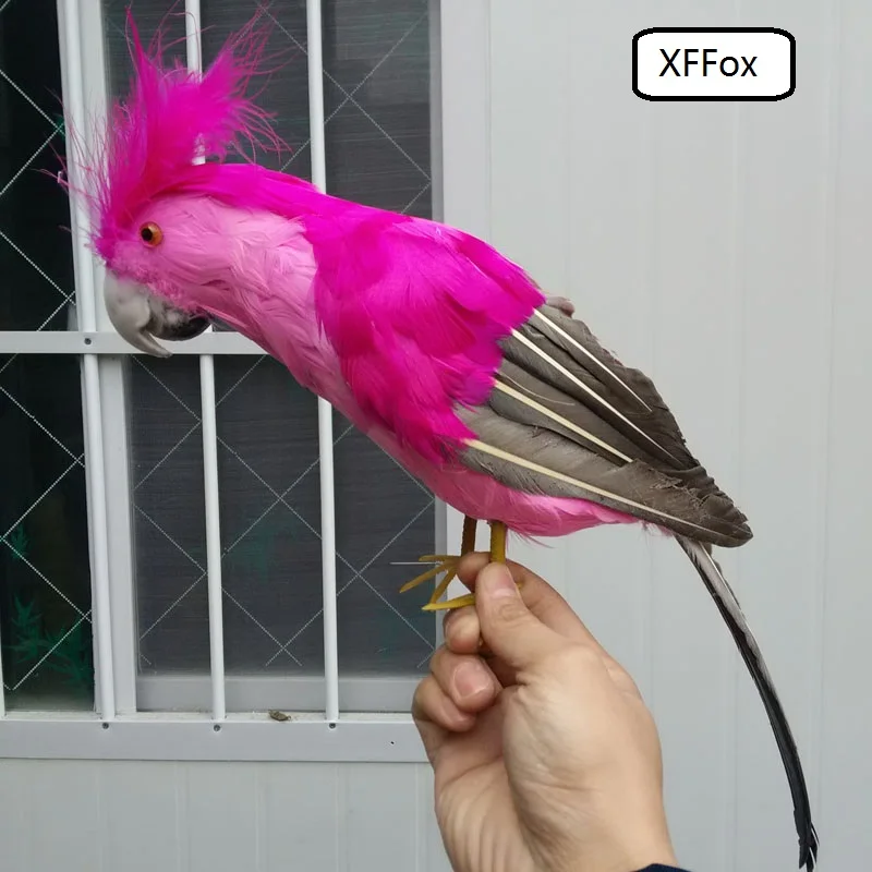 new real life hot pink parrot model foam&feather simulation big parrot bird gift about 42cm xf0217
new real life hot pink parrot model foam&feather simulation big parrot bird gift about 42cm xf0217