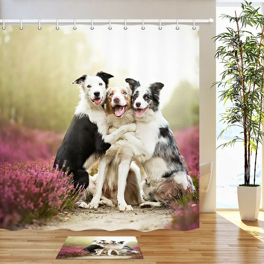 Funny three hugging border collies Shower Curtain Home Bathroom Decor Fabric
Funny three hugging border collies Shower Curtain Home Bathroom Decor Fabric