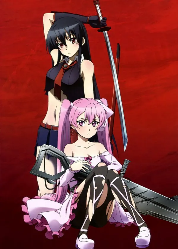 Home Decoration Akame Ga Kill! Anime Akame & Mine 90*60CM Wall Scroll Poster #39458
Home Decoration Akame Ga Kill! Anime Akame & Mine 90*60CM Wall Scroll Poster #39458