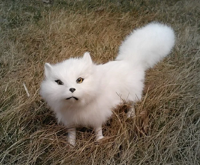 Имитация животного, 28x13x8 см, белая лиса, игрушка, эмуляция лисы, украшение для дома, Крафтовая кукла k0204
Имитация животного, 28x13x8 см, белая лиса, игрушка, эмуляция лисы, украшение для дома, Крафтовая кукла k0204