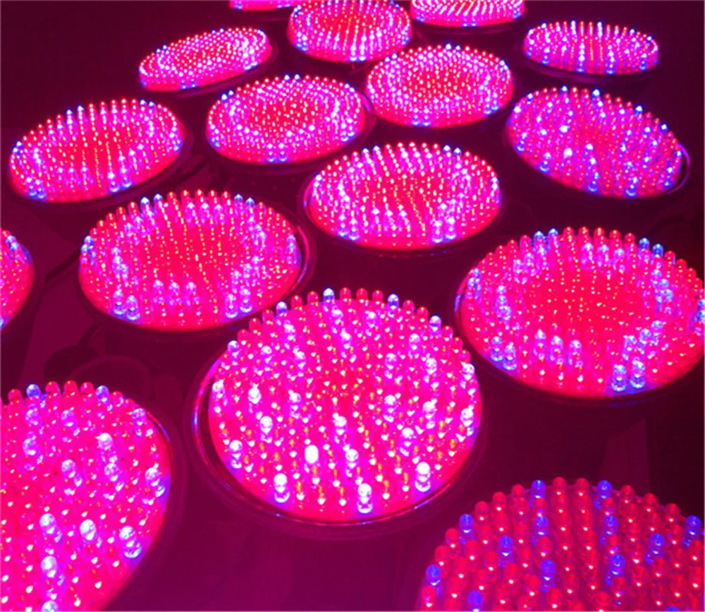 12pcs/lot 10W red blue LED Plant Grow lights E27 AC 110V / 220V Growing lamp Bulb for Flower Hydroponics System Grow Box
12pcs/lot 10W red blue LED Plant Grow lights E27 AC 110V / 220V Growing lamp Bulb for Flower Hydroponics System Grow Box