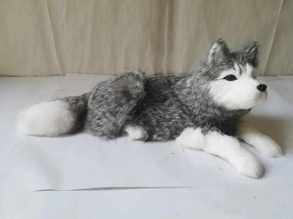 simulation gray husky dog hard model plastic&furs about 28x12cm lying husky prop,home decoration toy gift s2142
simulation gray husky dog hard model plastic&furs about 28x12cm lying husky prop,home decoration toy gift s2142