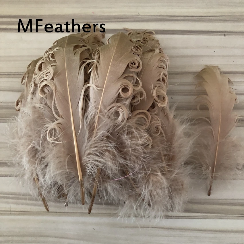500pcs Camel Color Dyed Goose duck Feather 13-20cm 5-8inch curly geese feathers plumes for hats jewelrys crafts making
500pcs Camel Color Dyed Goose duck Feather 13-20cm 5-8inch curly geese feathers plumes for hats jewelrys crafts making