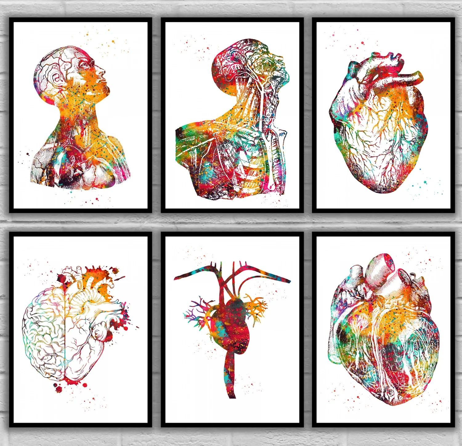 Head And Torso Heart anatomy Heart Anatomy Heart And Brain Heart section Anatomical Medical And Science Poster
Head And Torso Heart anatomy Heart Anatomy Heart And Brain Heart section Anatomical Medical And Science Poster