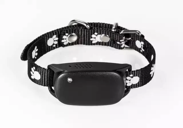 New Mini GPS/GSM/GPRS Device Tracking pet GPS Tracker Locator SOS Alarm gift for dog/cat
New Mini GPS/GSM/GPRS Device Tracking pet GPS Tracker Locator SOS Alarm gift for dog/cat