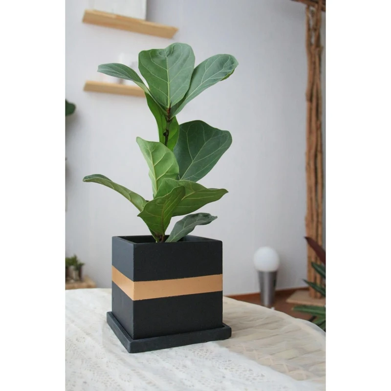 home decor square cement flower pot modern desktop crafts succulent plants concrete planter pot with tray
home decor square cement flower pot modern desktop crafts succulent plants concrete planter pot with tray