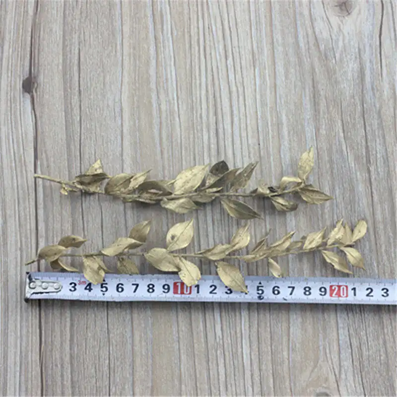 Free shipping immortal flower DIY handmade material foundation headdress handmade decoration dried flowers stem branch 1pcs
Free shipping immortal flower DIY handmade material foundation headdress handmade decoration dried flowers stem branch 1pcs