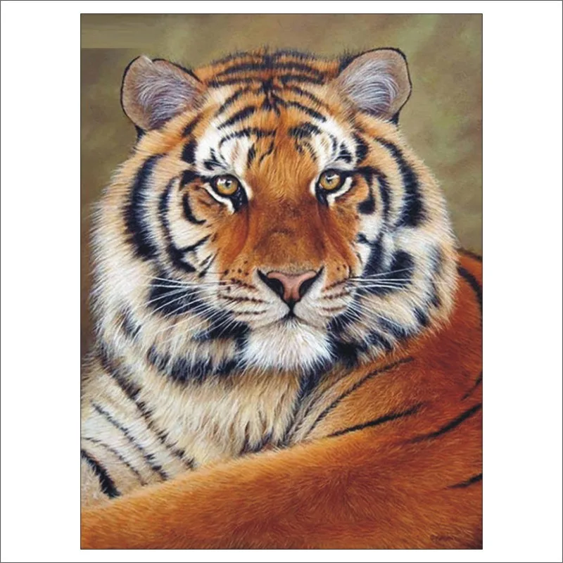 5d dIY diamond painting mosaic cross stitch set animal tiger home mural gift T146
5d dIY diamond painting mosaic cross stitch set animal tiger home mural gift T146