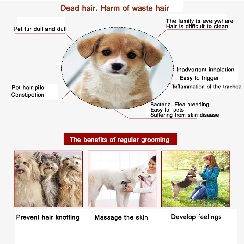 Pet Grooming Comb Stainless Steel Dog Cat Animal Hair Remover Brush Furnimators Hair Removal Comb Pet Supplies
Pet Grooming Comb Stainless Steel Dog Cat Animal Hair Remover Brush Furnimators Hair Removal Comb Pet Supplies