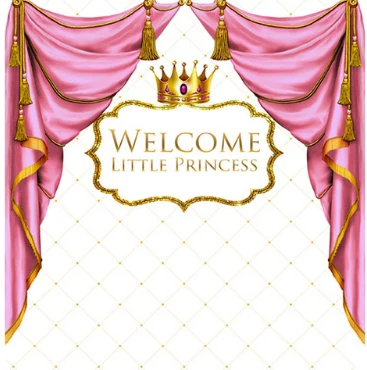 8x8FT Pink Curtain Welcome Little Princess Baby Shower Party Custom Photo Studio Backgrounds Backdrops Vinyl 240cm x 240cm
8x8FT Pink Curtain Welcome Little Princess Baby Shower Party Custom Photo Studio Backgrounds Backdrops Vinyl 240cm x 240cm