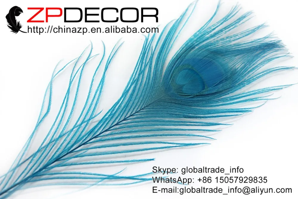 ZPDECOR 50pcs/lot 25-30cm(12-14inch) Premium Quality Hand Select Turquoise Blue Peacock Feather For Party Supplies
ZPDECOR 50pcs/lot 25-30cm(12-14inch) Premium Quality Hand Select Turquoise Blue Peacock Feather For Party Supplies