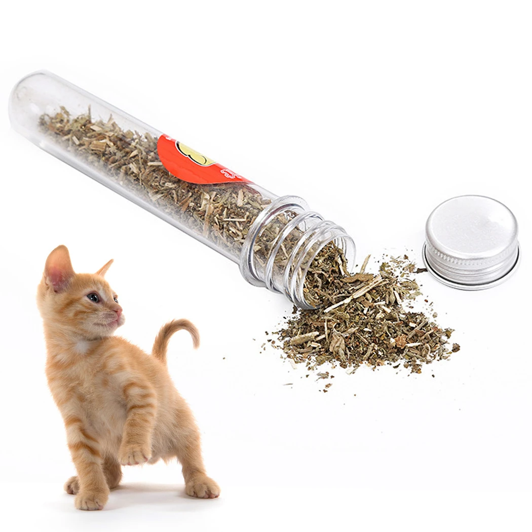 Catnip Natural Organic Premium Catnip Catmint Menthol Flavor Can Be Sprinkled on Toys and Catnip Toys Pleasing Pet
Catnip Natural Organic Premium Catnip Catmint Menthol Flavor Can Be Sprinkled on Toys and Catnip Toys Pleasing Pet