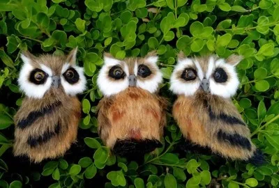 simulation mini brown owl,right pose owl, resin&fur 9x8cm toy model,one lot/ 3 pieces, prop,home decoration Xmas gift 0867
simulation mini brown owl,right pose owl, resin&fur 9x8cm toy model,one lot/ 3 pieces, prop,home decoration Xmas gift 0867