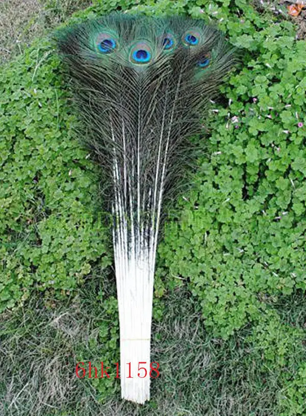 wholesale 1000 pc high quality natural peacock feather 90-100cm / 36-40inch wedding decorative
wholesale 1000 pc high quality natural peacock feather 90-100cm / 36-40inch wedding decorative