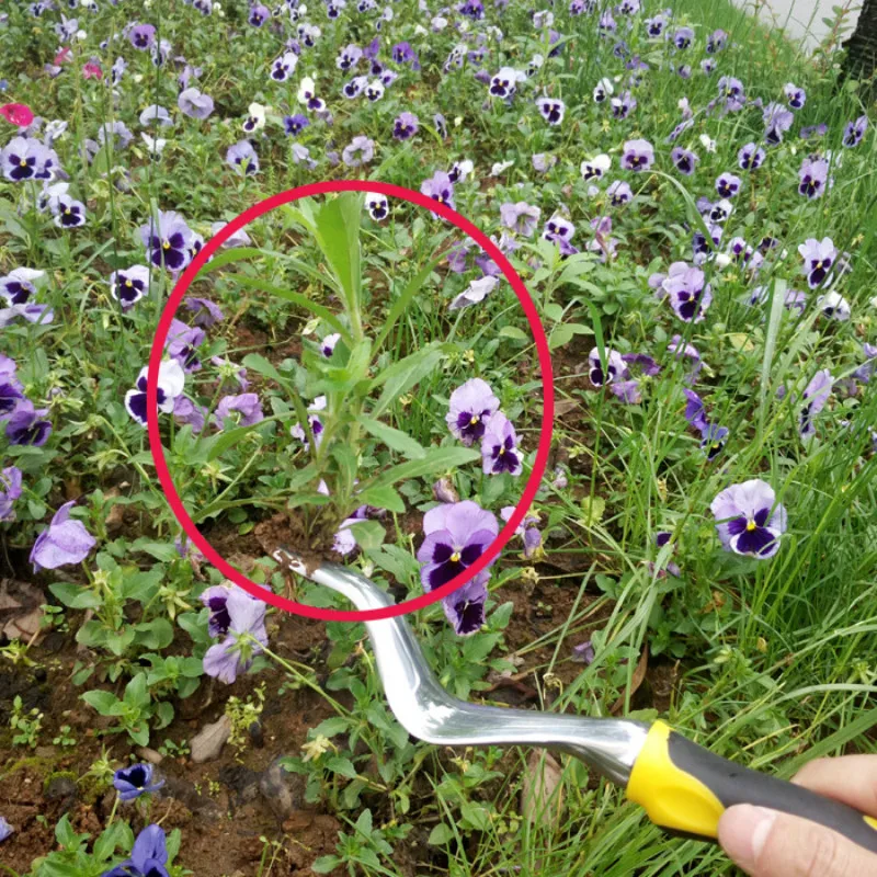 Grass Puller Gardening Tools Gardening and Gardening Supplies Rooting Weeding Loose Soil
Grass Puller Gardening Tools Gardening and Gardening Supplies Rooting Weeding Loose Soil