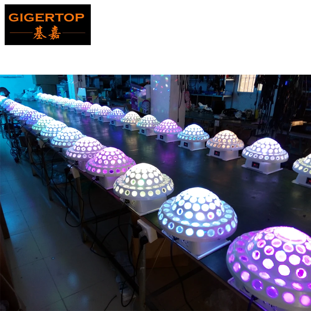 Wholesales 10Pcs/Lot Led Magic Ball Stage Light With Laser Light Effect RGB Led 3W*5pcs Led Stage Light DMX512 Americal DJ Light
Wholesales 10Pcs/Lot Led Magic Ball Stage Light With Laser Light Effect RGB Led 3W*5pcs Led Stage Light DMX512 Americal DJ Light