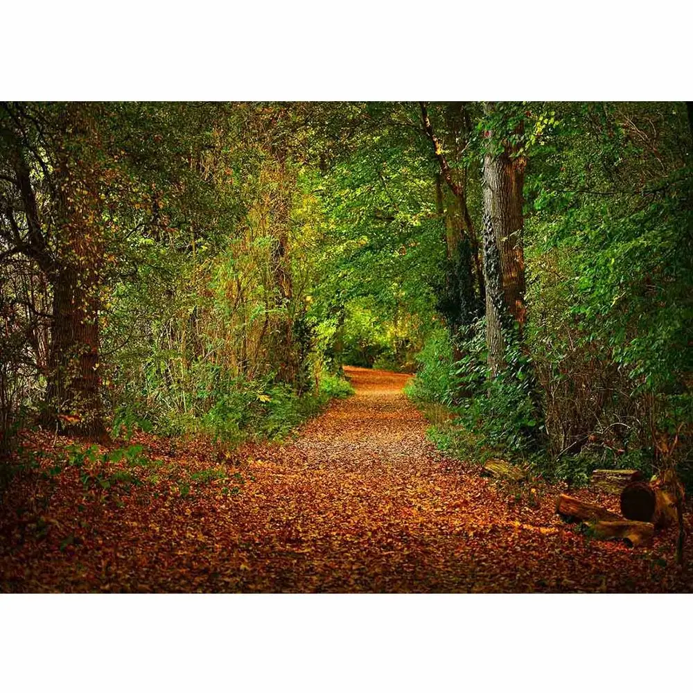 Forest Pathway Vinyl Photography Backgrounds for Wedding Lover Baby Children Backdrops Photo Studio Photobooth Photo Shooting
Forest Pathway Vinyl Photography Backgrounds for Wedding Lover Baby Children Backdrops Photo Studio Photobooth Photo Shooting