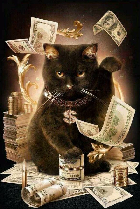 DIY Diamond Painting Cat With Cash Full Square Rhinestones Cross Stitch Crystal Mosaic 3D Embroidery Home Decoration Unfinished
DIY Diamond Painting Cat With Cash Full Square Rhinestones Cross Stitch Crystal Mosaic 3D Embroidery Home Decoration Unfinished
