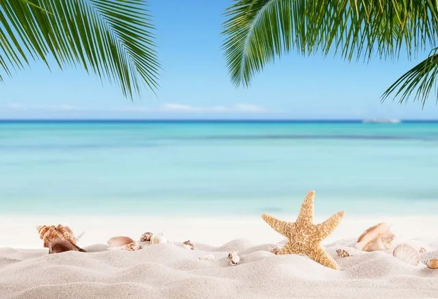Vinyl Sea Beach Photography Backdrops Beach Photo Background Computer Printed Backdrops for Photography Studio
Vinyl Sea Beach Photography Backdrops Beach Photo Background Computer Printed Backdrops for Photography Studio