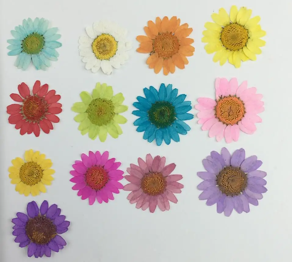100pcs Pressed Dried Daisy Flower Filler For Epoxy Resin Pendant Necklace Jewelry Making Craft DIY Accessories
100pcs Pressed Dried Daisy Flower Filler For Epoxy Resin Pendant Necklace Jewelry Making Craft DIY Accessories