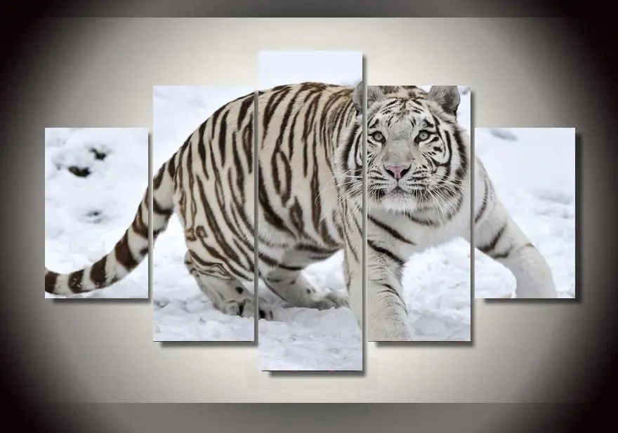 HD Printed White Tiger Landscape Group Painting room decor print poster picture canvas Free shipping/mmv-032
HD Printed White Tiger Landscape Group Painting room decor print poster picture canvas Free shipping/mmv-032
