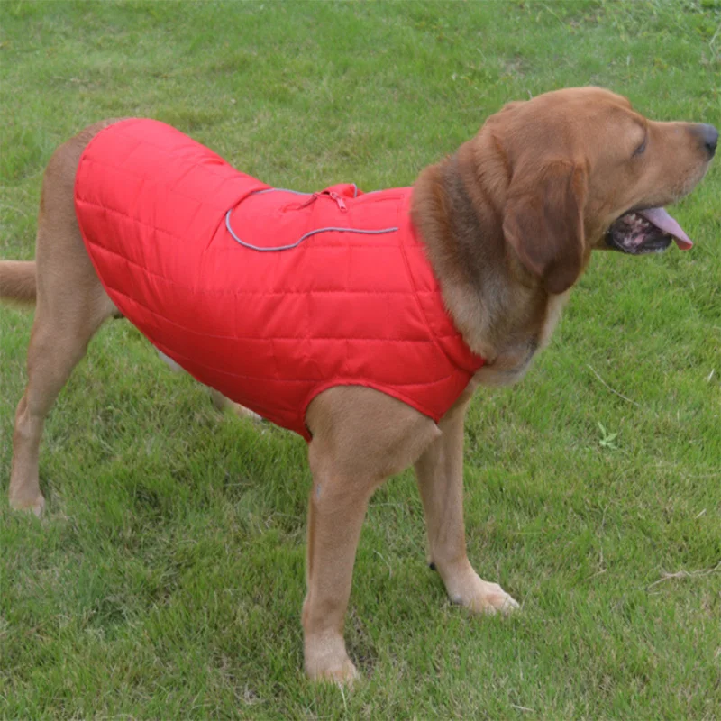 Waterproof Dog Jacket Two side wear dog Winter Clothes warm Coat Reflective pet Jacket vest Clothing for small Medium large dogs
Waterproof Dog Jacket Two side wear dog Winter Clothes warm Coat Reflective pet Jacket vest Clothing for small Medium large dogs