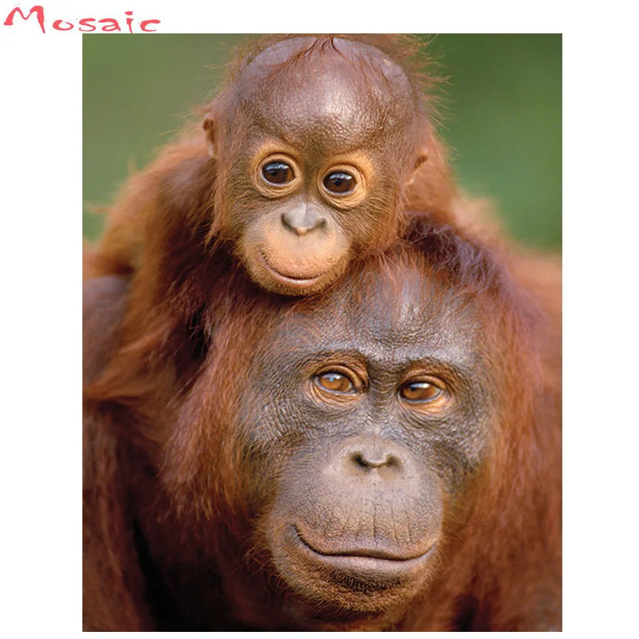 Полноразмерная Алмазная Вышивка Животных orangutans, картина Стразы 5D, алмазная живопись «сделай сам», вышивка крестиком обезьяны, мозаичный Де...
Полноразмерная Алмазная Вышивка Животных orangutans, картина Стразы 5D, алмазная живопись «сделай сам», вышивка крестиком обезьяны, мозаичный Де...