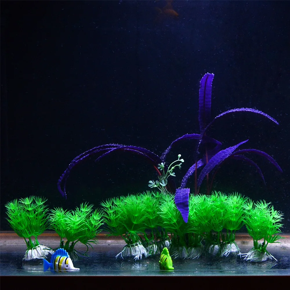 Artificial Aquarium Plants Decor Grass Fish Tank Ornamental Aquascape Aquarium Plastic Plant 10 pieces Freshwater with Base
Artificial Aquarium Plants Decor Grass Fish Tank Ornamental Aquascape Aquarium Plastic Plant 10 pieces Freshwater with Base