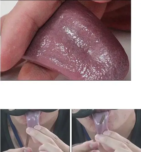Halloween Horrible Tongue Realistic Tongue Gross Jokes Prank Magic Tricks Halloween Horrific Magician Magia Toys Classic Joke
Halloween Horrible Tongue Realistic Tongue Gross Jokes Prank Magic Tricks Halloween Horrific Magician Magia Toys Classic Joke