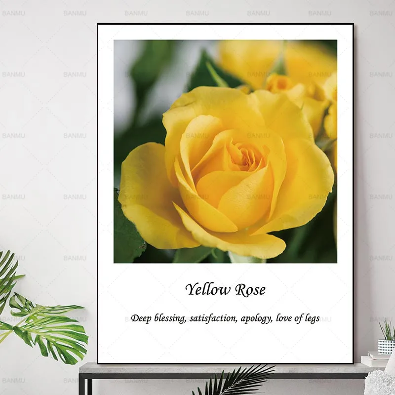 canvas painting Wall art pictures no frame decor poster art prints flowers on canvas Wall Picture decoration for living room
canvas painting Wall art pictures no frame decor poster art prints flowers on canvas Wall Picture decoration for living room