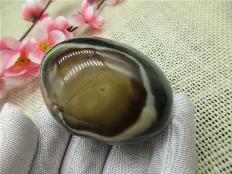 Natural Energy Stone Sea Stone Ancient Rock Specimen Ocean Jasper Healing Reiki Stone Carving Crafts From Madagascar
Natural Energy Stone Sea Stone Ancient Rock Specimen Ocean Jasper Healing Reiki Stone Carving Crafts From Madagascar