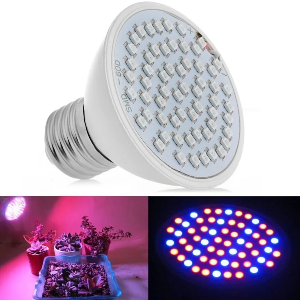 10 шт./лот Whosee полный спектр гидропоники 6 Вт 60LED E27 растет свет лампы для цветов, растений, овощеводство
10 шт./лот Whosee полный спектр гидропоники 6 Вт 60LED E27 растет свет лампы для цветов, растений, овощеводство