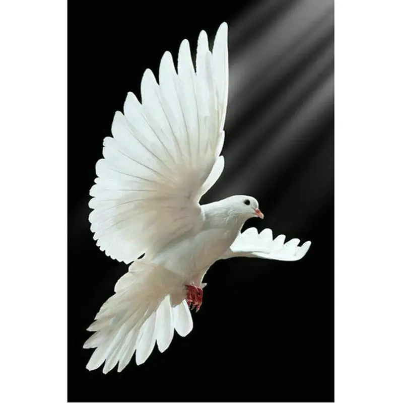 Сделай Сам 5D алмазная картина вышивка крестиком животное полная квадратная Алмазная вышивка голубь мозаика узор рукоделие Стразы живопись
Сделай Сам 5D алмазная картина вышивка крестиком животное полная квадратная Алмазная вышивка голубь мозаика узор рукоделие Стразы живопись