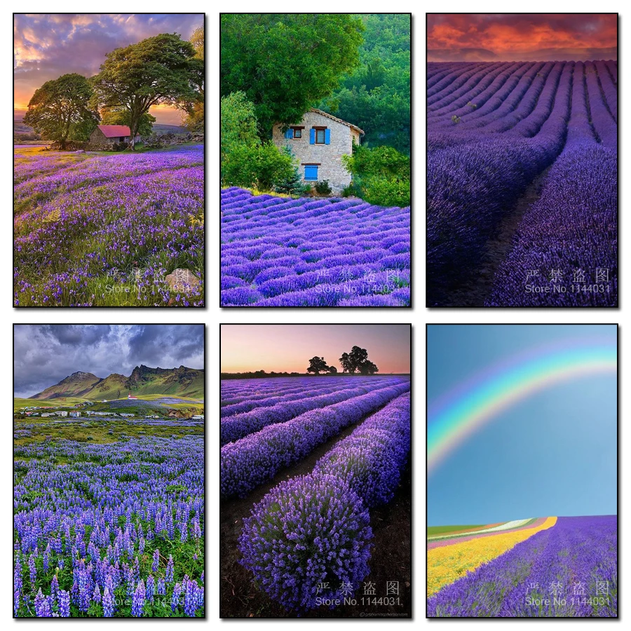 Purple Flowers In Scotland Mosaic Needlework 5D Diy Diamond Painting Landscape Picture Cross Stitch Rhinestone Drill Embroidery
Purple Flowers In Scotland Mosaic Needlework 5D Diy Diamond Painting Landscape Picture Cross Stitch Rhinestone Drill Embroidery
