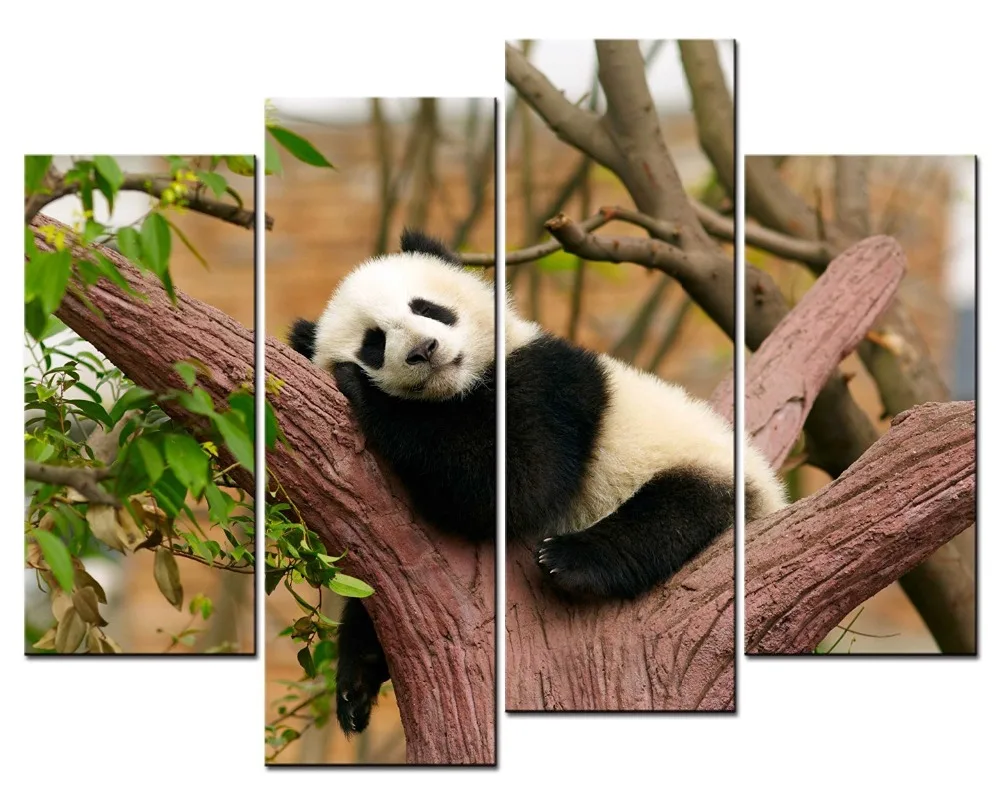 4 pieces / set of sleep on the trees Panda painting art wall living room decoration canvas painting paint in the paint framed
4 pieces / set of sleep on the trees Panda painting art wall living room decoration canvas painting paint in the paint framed