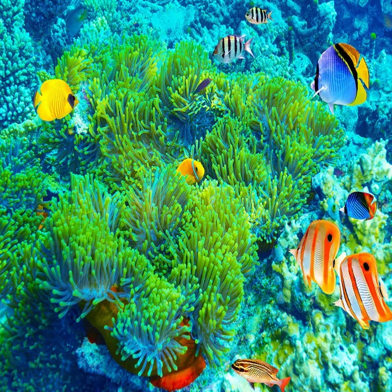 Free Shipping Coral submarine fish underwater world 3D floor painting wear non-slip thickened living room square flooring mural
Free Shipping Coral submarine fish underwater world 3D floor painting wear non-slip thickened living room square flooring mural