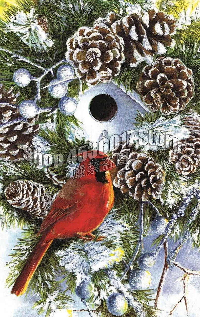 5D DIY Diamond Painting Birds Winter Birdhouse snow Art Diamond Mosaic Full Square Diamond Embroidery Rhinestone Gift Christmas
5D DIY Diamond Painting Birds Winter Birdhouse snow Art Diamond Mosaic Full Square Diamond Embroidery Rhinestone Gift Christmas