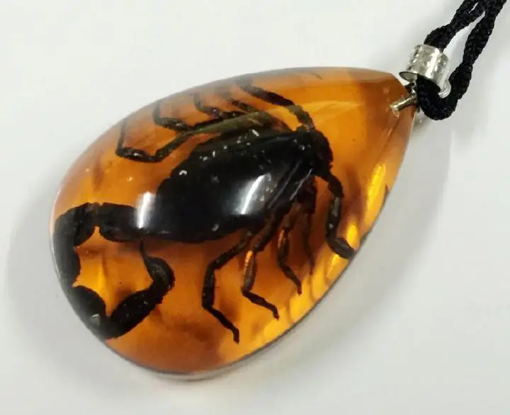 12 PCS REAL BLACK SCORPION NECKLACE PENDANT insect bug jewelry gothic punk surfer
12 PCS REAL BLACK SCORPION NECKLACE PENDANT insect bug jewelry gothic punk surfer