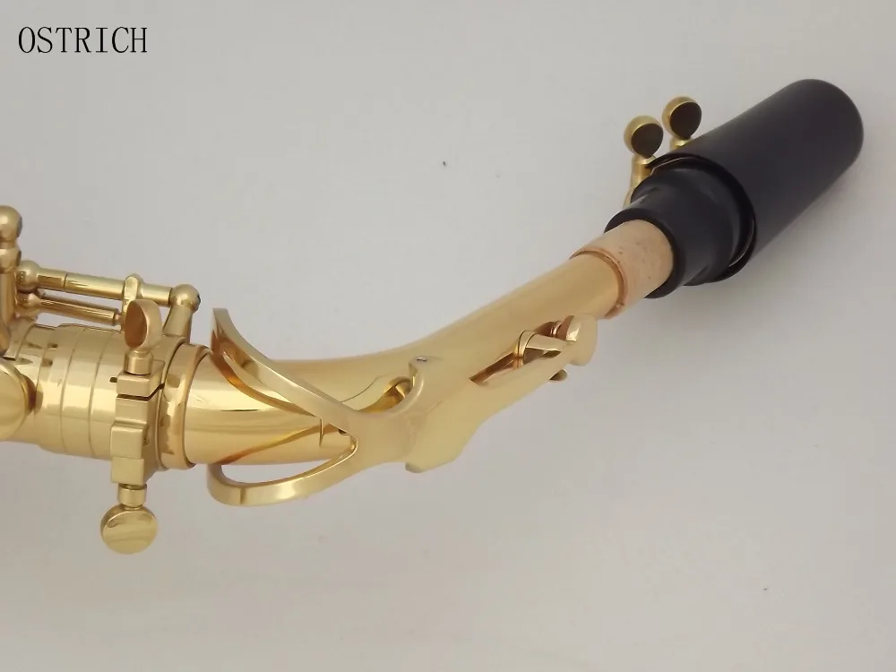 Ostrich Student Alto Saxophone Standard E Flat Eb Gold Lacquer Included Accessories
Ostrich Student Alto Saxophone Standard E Flat Eb Gold Lacquer Included Accessories