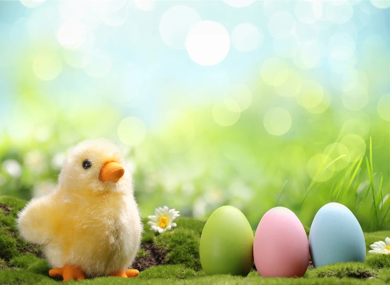 HUAYI Art Fabric Happy Easter Backdrop Photography For Newborn Background XT-5488
HUAYI Art Fabric Happy Easter Backdrop Photography For Newborn Background XT-5488