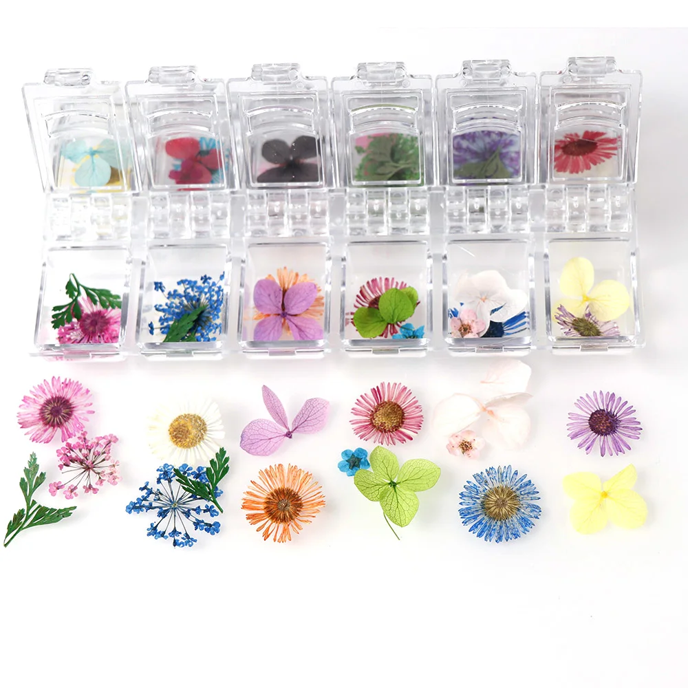 Japanese Dried Flowers 12 Petals Real Flower Eternal Flower Photo Therapy Crystal Box For UV Resin Epoxy Mold Decoration
Japanese Dried Flowers 12 Petals Real Flower Eternal Flower Photo Therapy Crystal Box For UV Resin Epoxy Mold Decoration