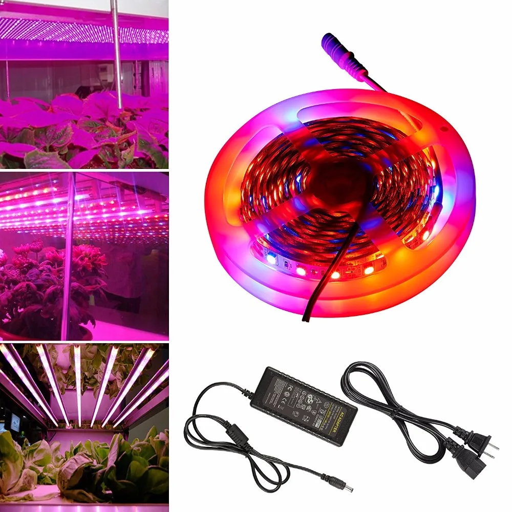 5m 5050 LED Grow Lights DC 12V waterproof Fite de Growing LED Strip Plant Growth Light Set with 5A EU/US Power Adapter
5m 5050 LED Grow Lights DC 12V waterproof Fite de Growing LED Strip Plant Growth Light Set with 5A EU/US Power Adapter