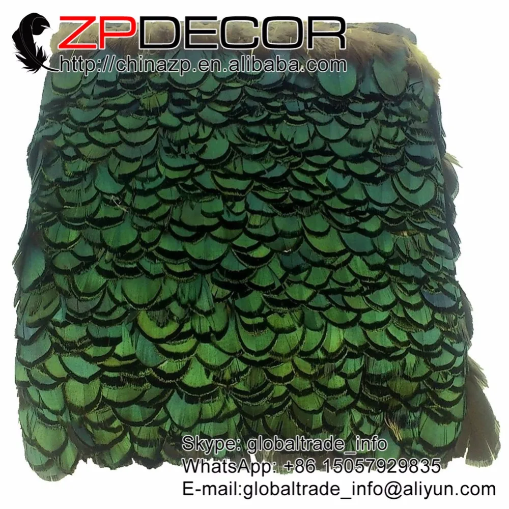 Zpdecoration/10 ярдов/партия, 4 см (1-2 дюйма), зеленые, бронзовые, женские костюмы для выступлений с бахромой и перьями
Zpdecoration/10 ярдов/партия, 4 см (1-2 дюйма), зеленые, бронзовые, женские костюмы для выступлений с бахромой и перьями
