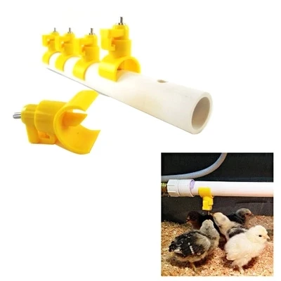 50PCS chicken drinking fountain nipple drinker for chickens semi fountain nipple washable for easy cleaning
50PCS chicken drinking fountain nipple drinker for chickens semi fountain nipple washable for easy cleaning