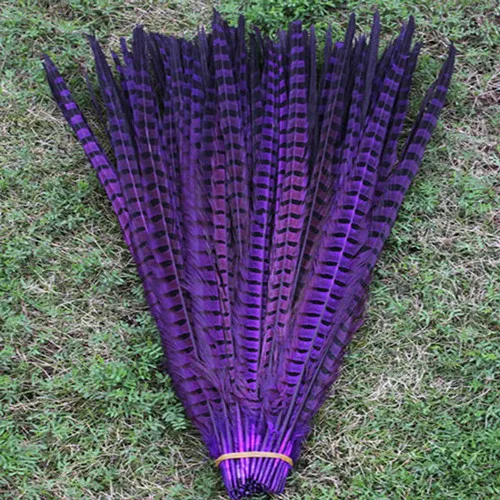 Wholesale 100pcs/lots natural purple Dyed 40-45cm/16-18''' copper chicken feather pheasant Tail feathers
Wholesale 100pcs/lots natural purple Dyed 40-45cm/16-18''' copper chicken feather pheasant Tail feathers