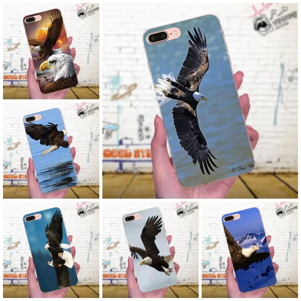 Eagles Flying Dominant мягкий Quinn телефон для Galaxy J1 J2 J3 J330 J4 J5 J6 J7 J730 J8 2015 2016 2017 2018 mini